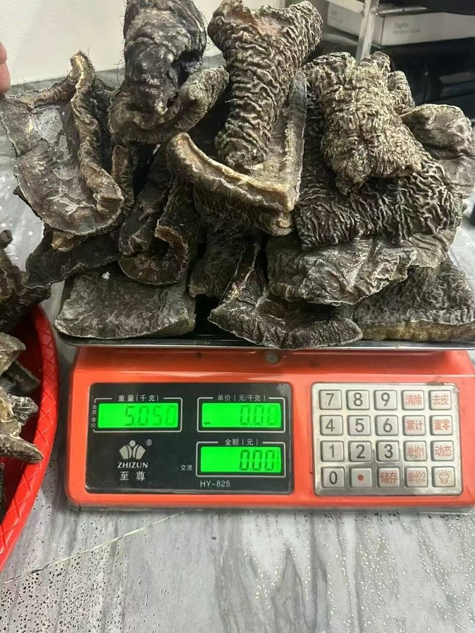 大象皮 药材
