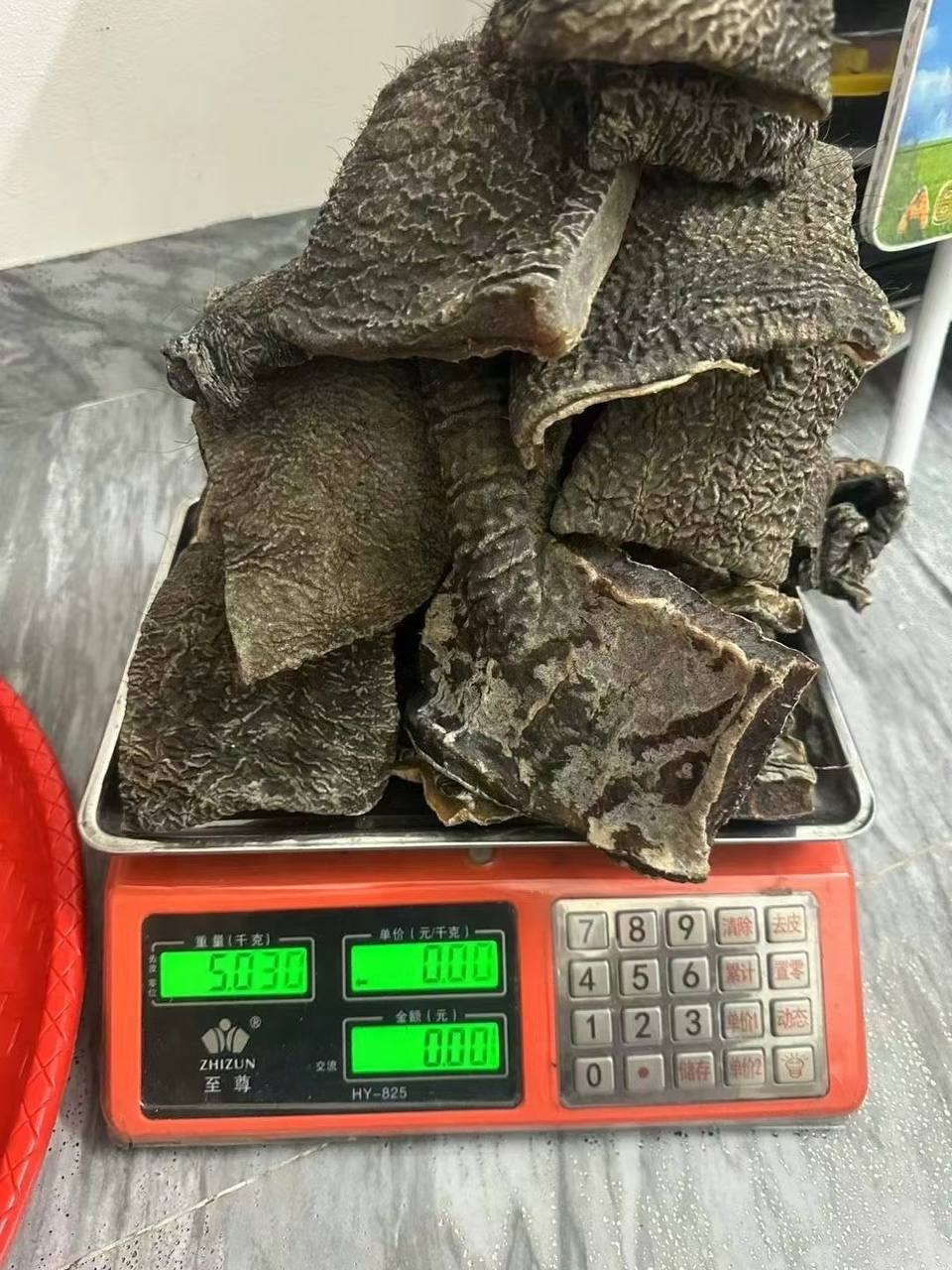 大象皮 药材