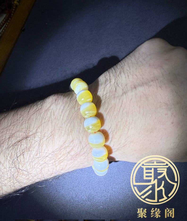 金丝砗磲桶珠手串一条