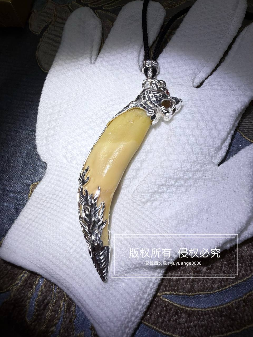 9公分完美包银虎牙一颗