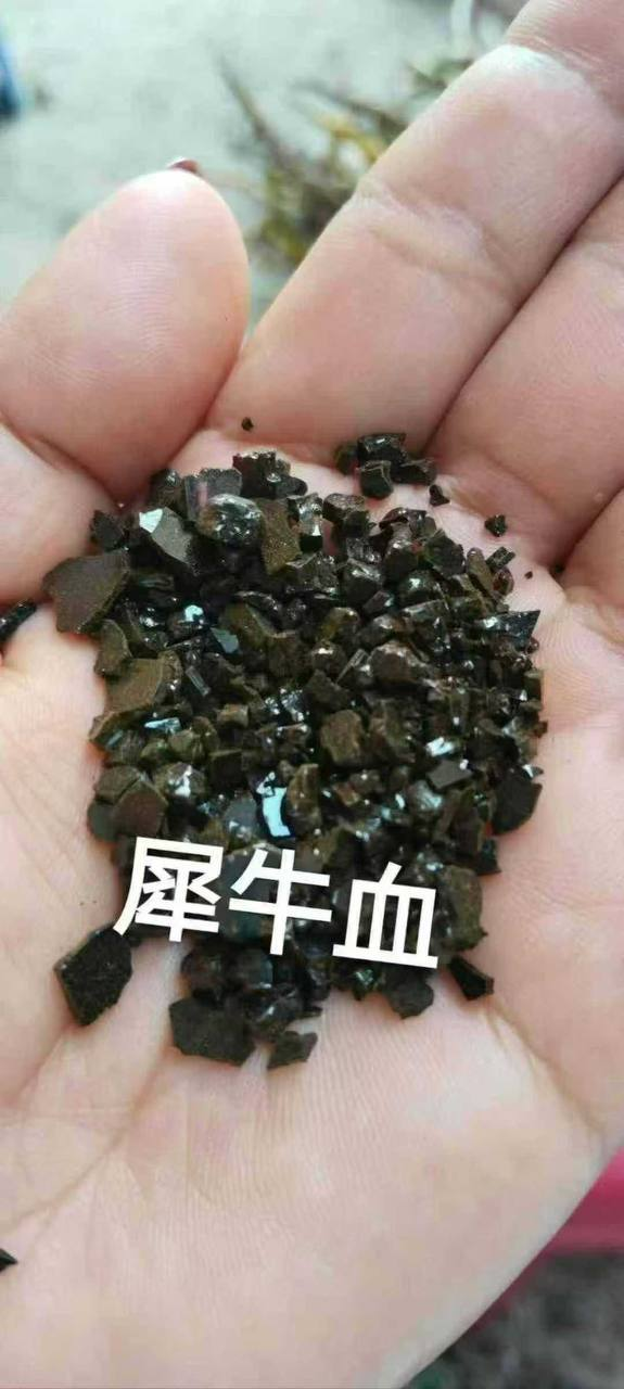 犀牛#血
