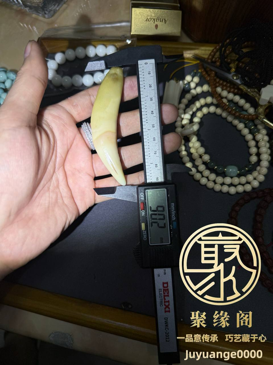 野生极品虎牙一颗