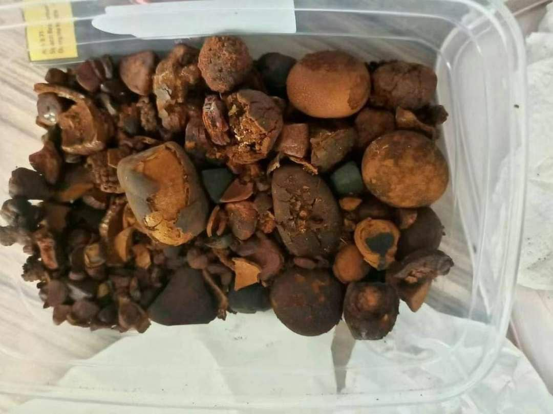 天然牛黄