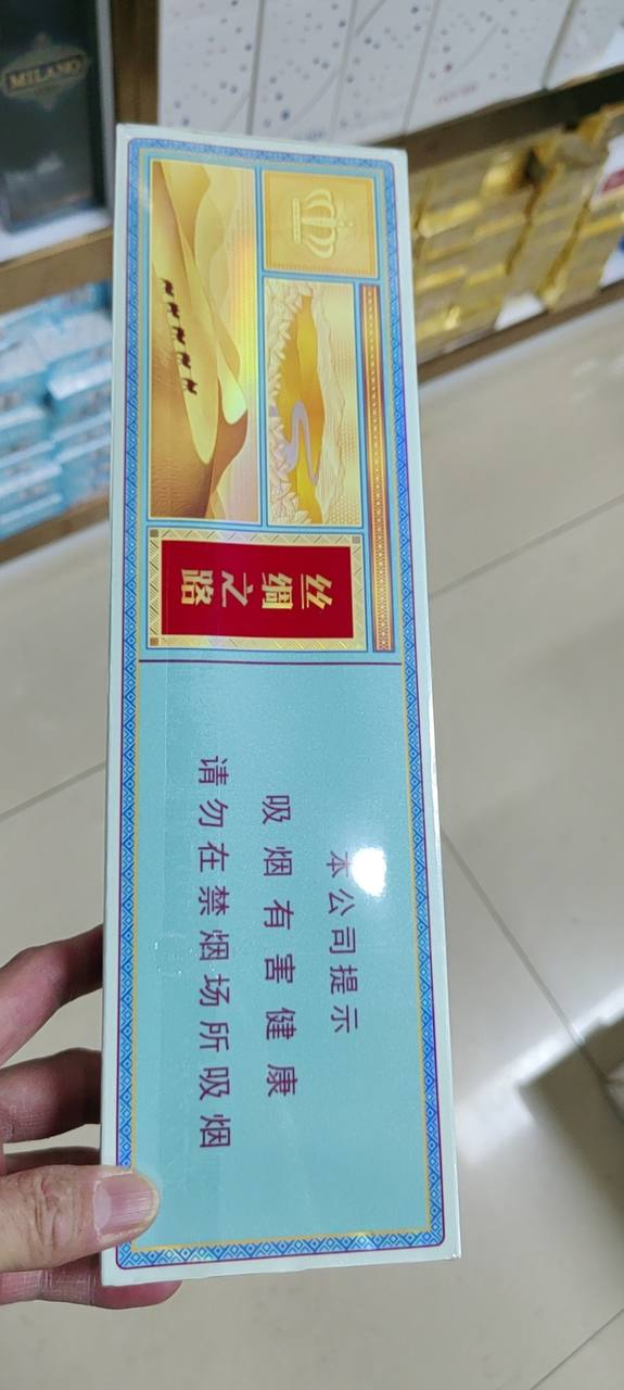 中支#丝绸之路