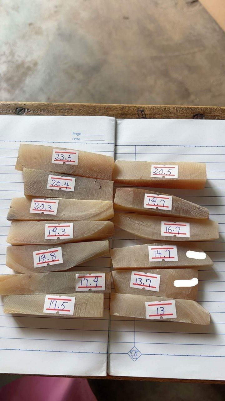 犀牛角粉