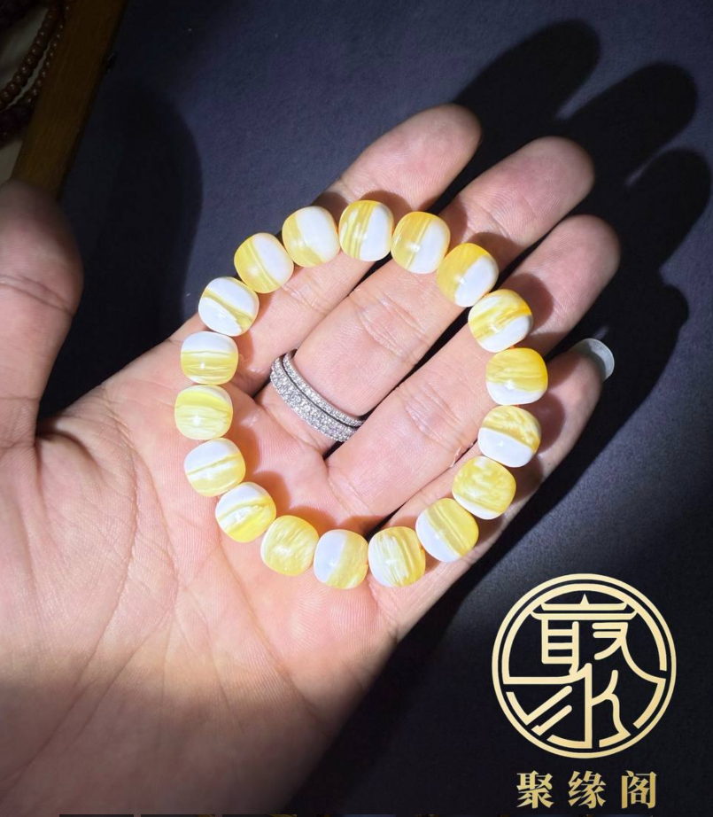 金丝砗磲桶珠手串一条