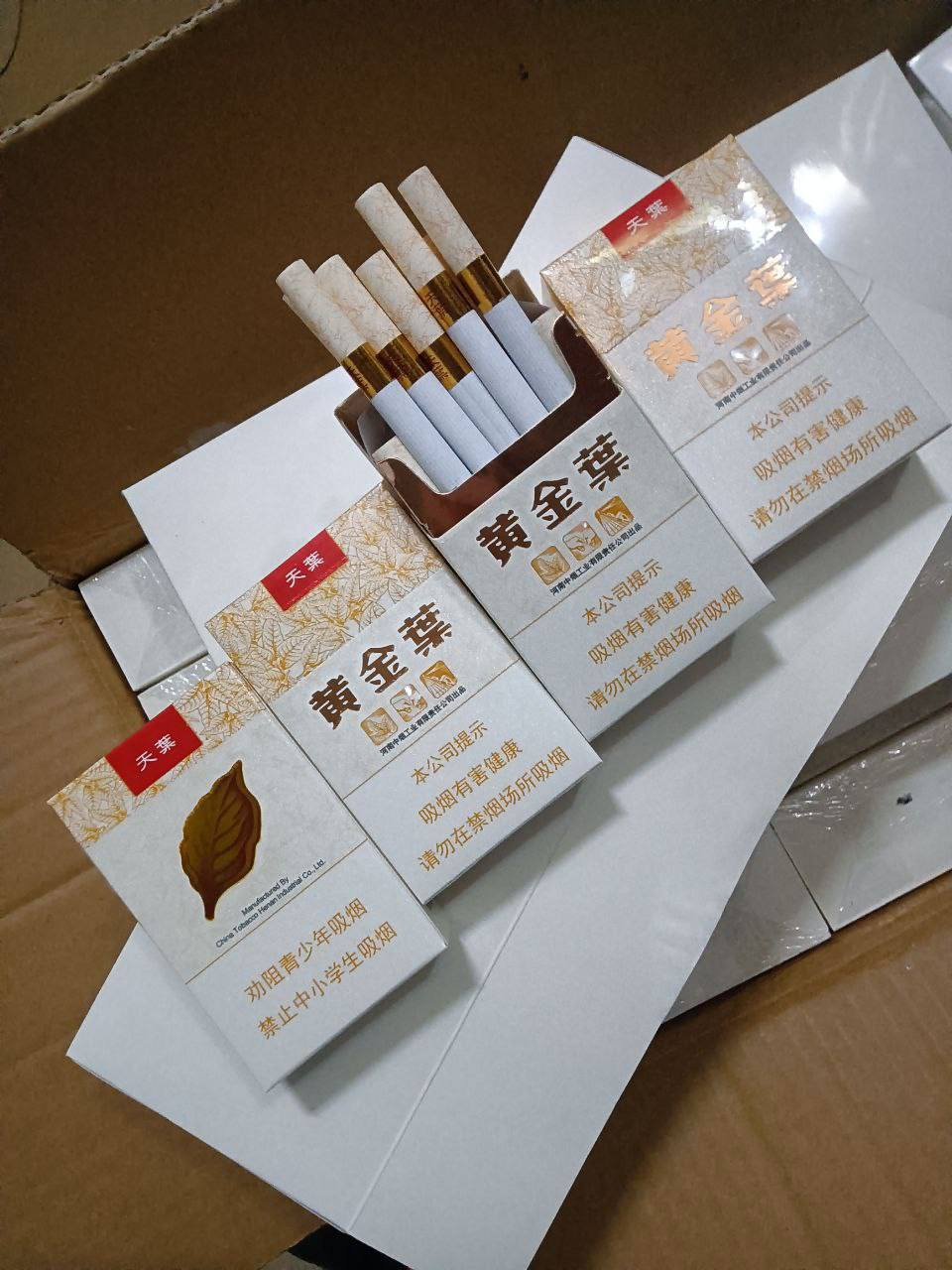 粗支#黄金叶