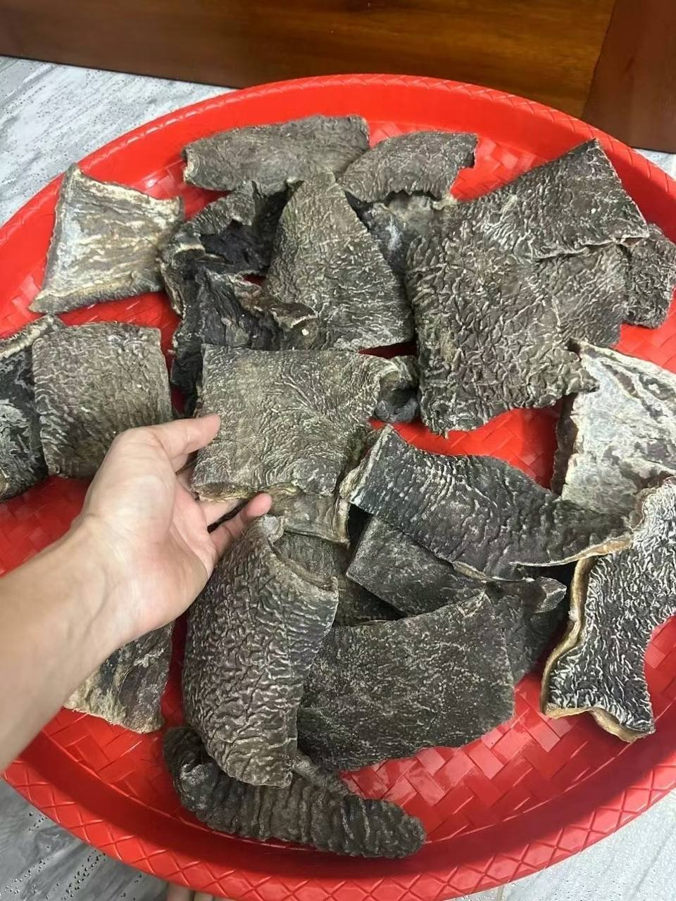 大象皮 药材